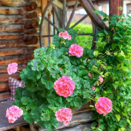 Gaestehaus Manfred Mittenwald